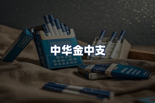 中华金中支